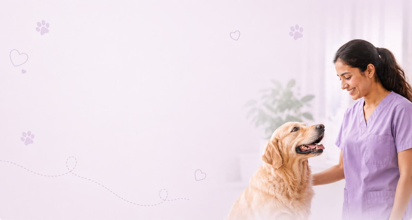 Veterinarian caring for a golden retriever