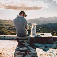 How to Build a Preventive Care Schedule for Your Pet